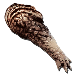 Alpha Carnotaurus Paw