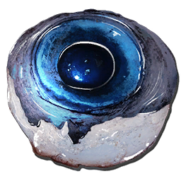 Eye of Alpha Tusoteuthis
