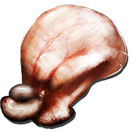 Gasbags Bladder