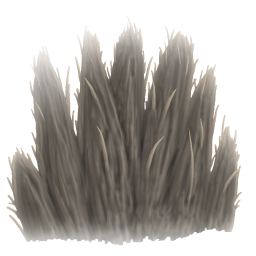 Pelt