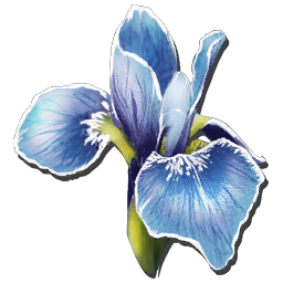 Rare Flower