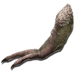 Tyrannosaurus Paw