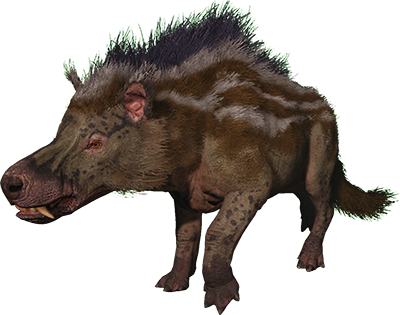 Andrewsarchus
