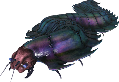 Arthropluera
