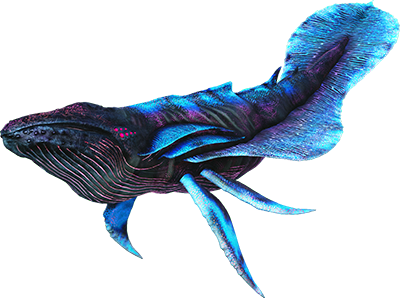 Astrocetus