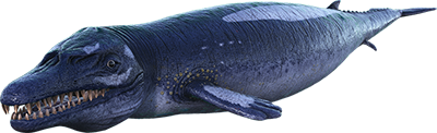 X-Basilosaurus