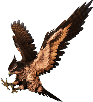 Fjordhawk