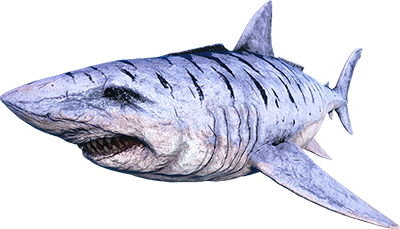 X-Megalodon