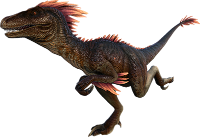 X-Raptor