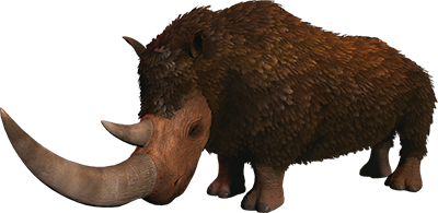 X-Woolly Rhino